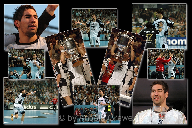 012 - Nikola Karabatic.jpg